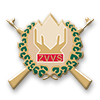 ZVVS logo